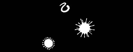 viruses