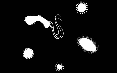 viruses