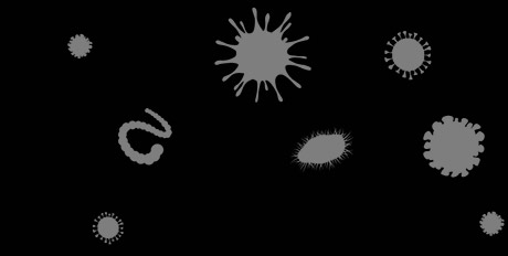 viruses