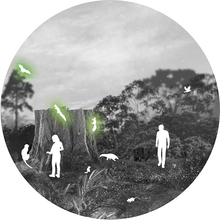 Forest scene 2