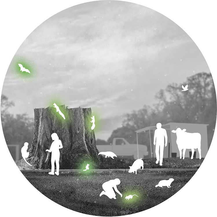 Forest scene 4