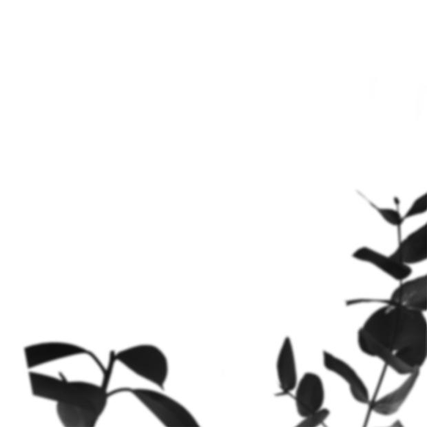 Forest scene 17