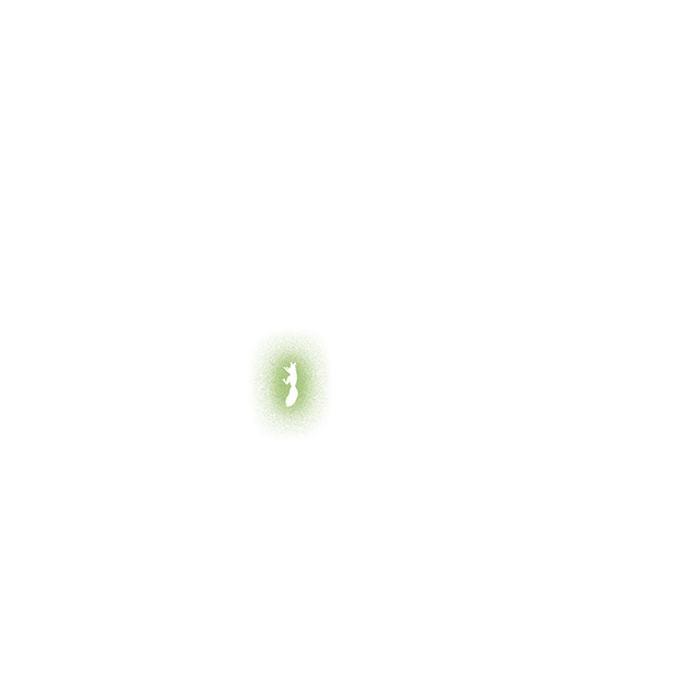 Forest scene 3