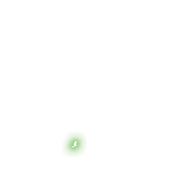 Forest scene 4