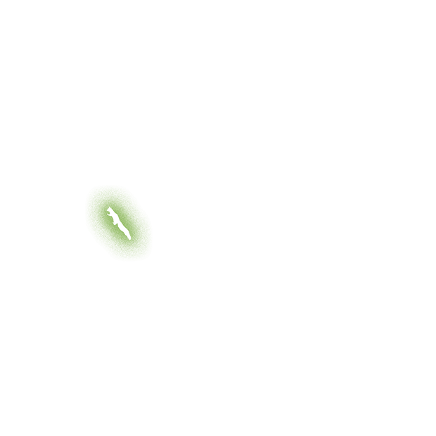 Forest scene 9