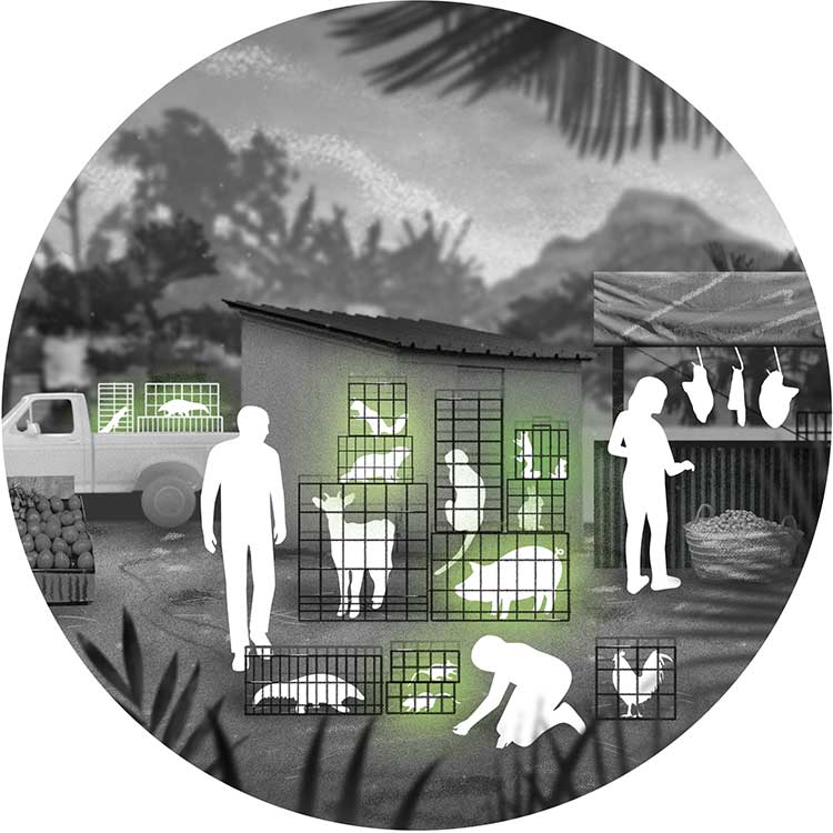 Market scene 2